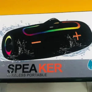 Portable Speaker